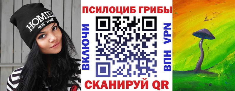Галлюциногенные грибы мухоморы  это официальный сайт  Жуков  ОМГ ОМГ как войти 